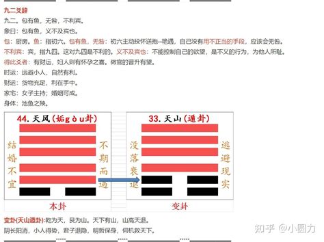 天風卦|【周易全解】44 姤卦 